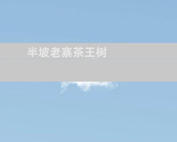 半坡老寨茶王树