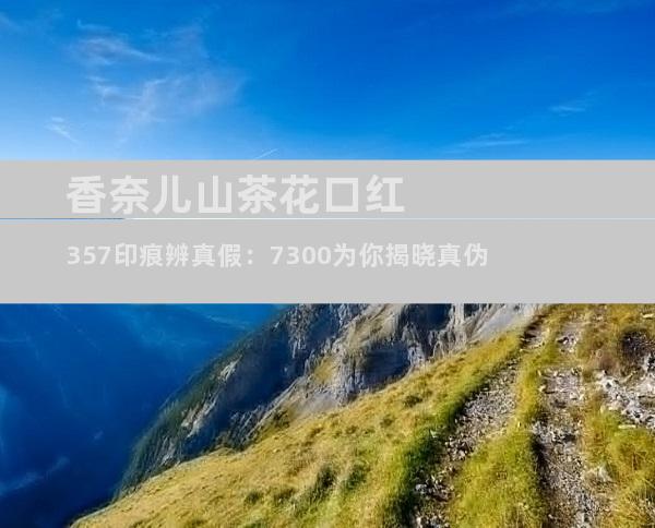 香奈儿山茶花口红357印痕辨真假：7300为你揭晓真伪